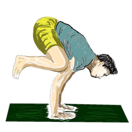 10.	काकासाना  Kakasana  Die Krhe