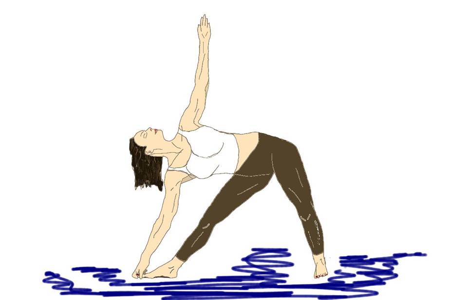 12.	त्रइकोनासाना  Trikonasana  Das Dreieck