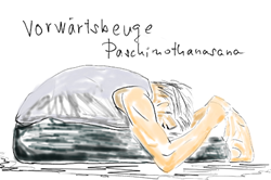 5. पासचिमोततानासाना – Paschimottanasana – Die Vorwärtsbeuge